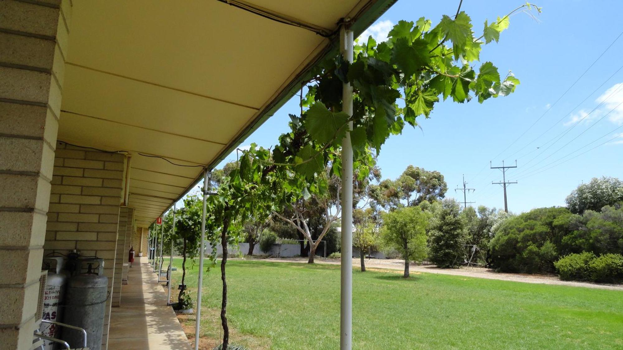 Murray Bridge Motor Inn Esterno foto
